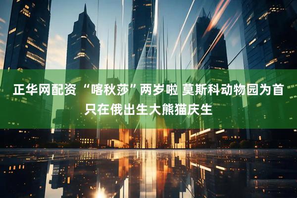 正华网配资 “喀秋莎”两岁啦 莫斯科动物园为首只在俄出生大熊猫庆生