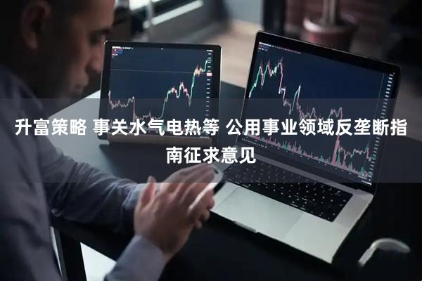升富策略 事关水气电热等 公用事业领域反垄断指南征求意见
