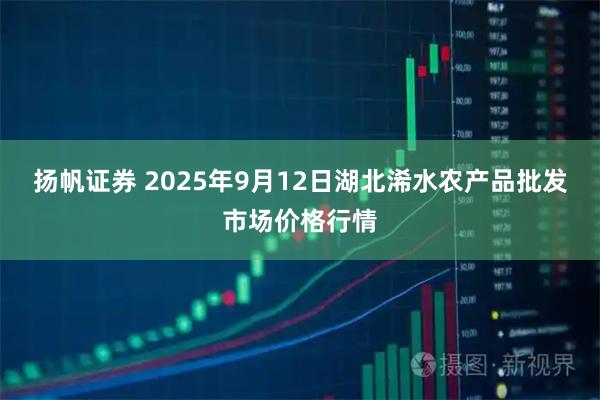 扬帆证券 2025年9月12日湖北浠水农产品批发市场价格行情