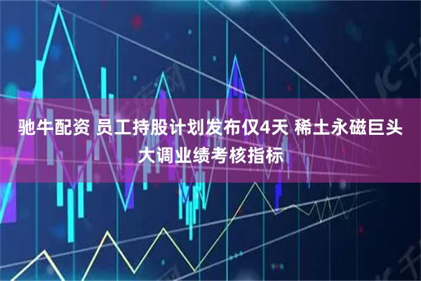 驰牛配资 员工持股计划发布仅4天 稀土永磁巨头大调业绩考核指标